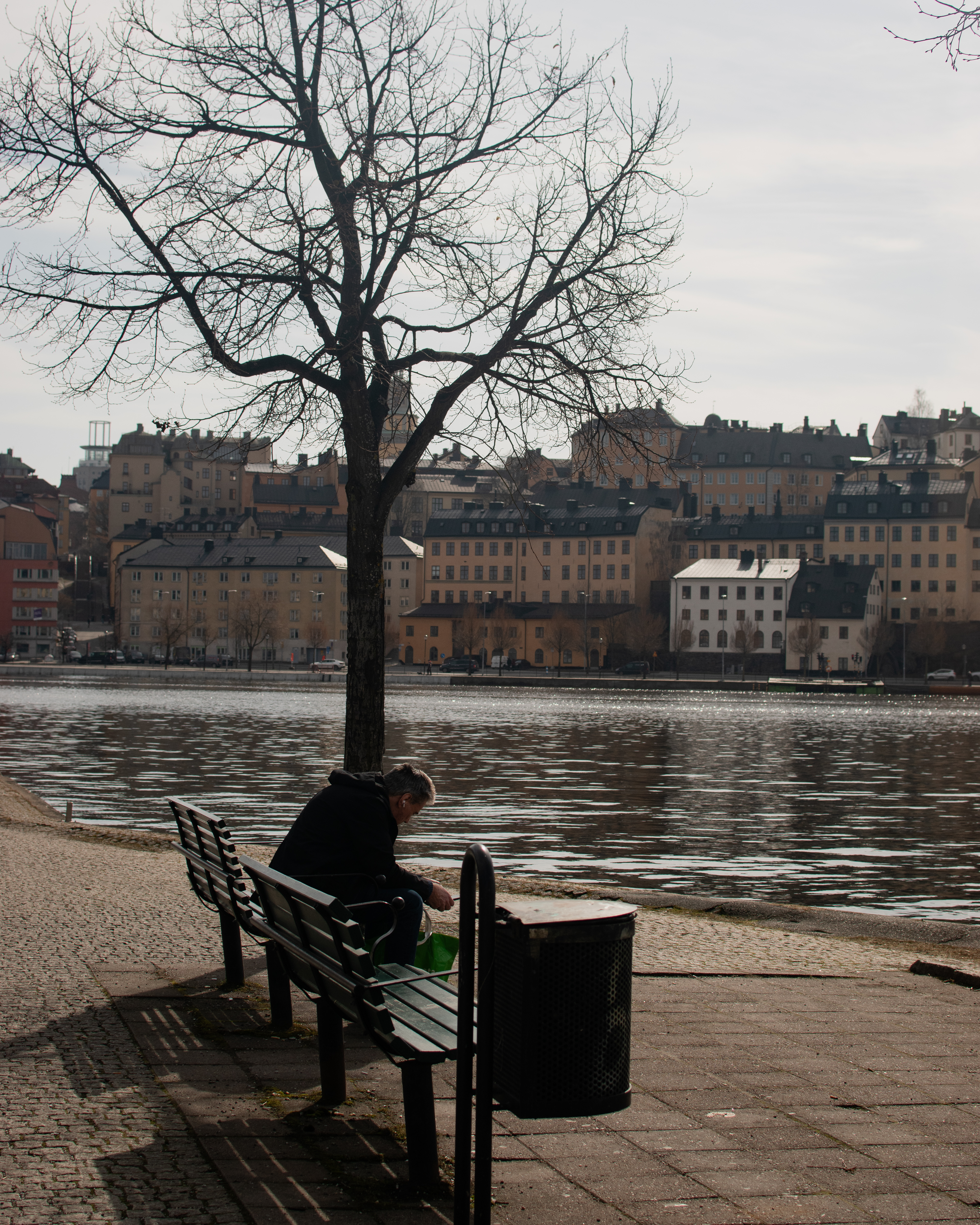 Stockholm Landscape